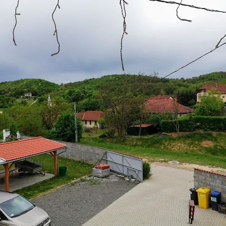 Hotel Lotuszvirag Vendeghaz Szekszárd Exteriér fotografie