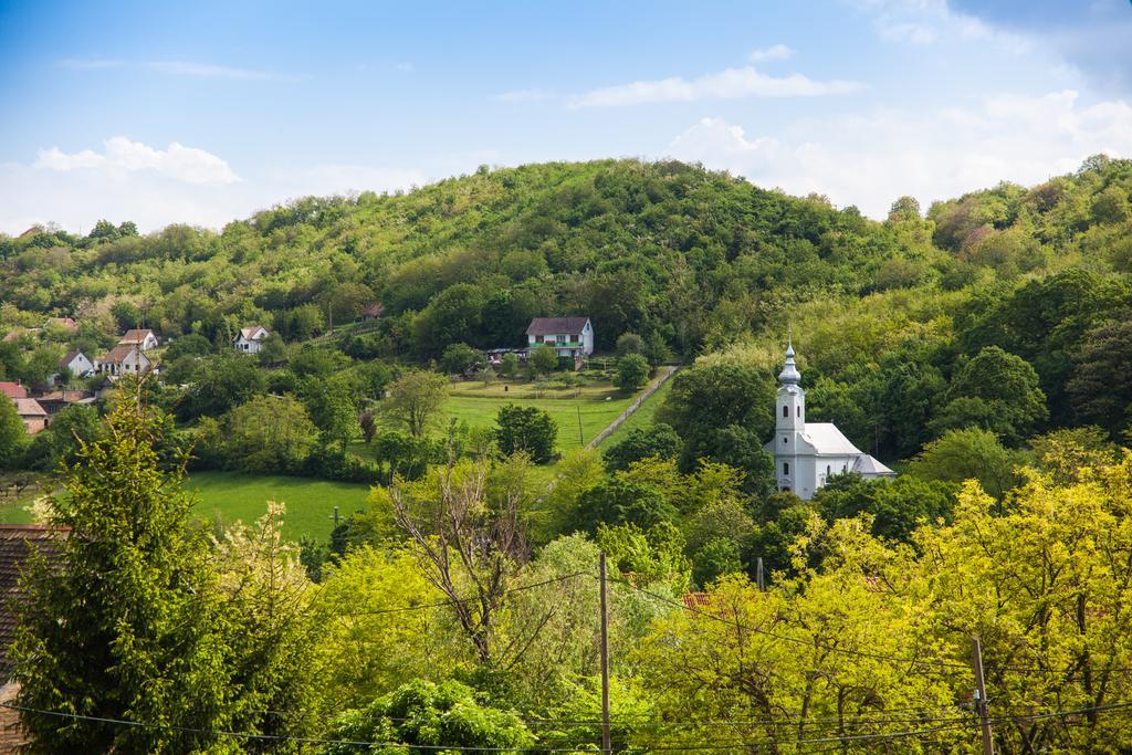 Hotel Lotuszvirag Vendeghaz Szekszárd Exteriér fotografie