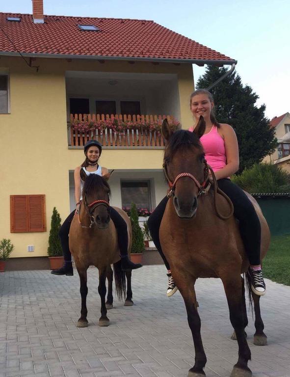 Hotel Lotuszvirag Vendeghaz Szekszárd Exteriér fotografie