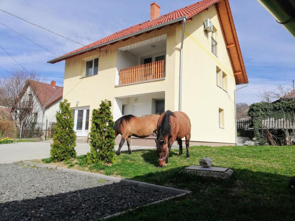 Hotel Lotuszvirag Vendeghaz Szekszárd Exteriér fotografie