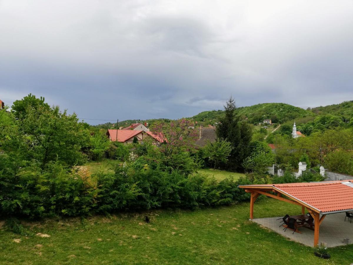 Hotel Lotuszvirag Vendeghaz Szekszárd Exteriér fotografie