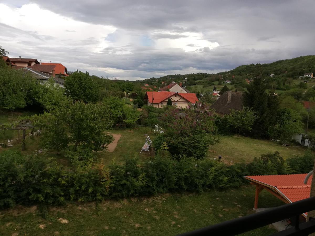 Hotel Lotuszvirag Vendeghaz Szekszárd Exteriér fotografie